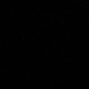 Meet your Posher, Ronnie